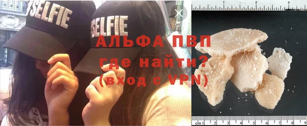 сатива Верхний Тагил