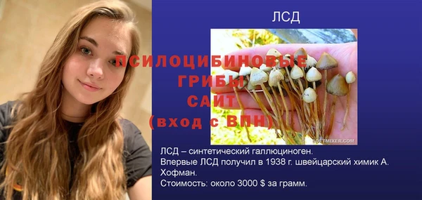 круглые Верея