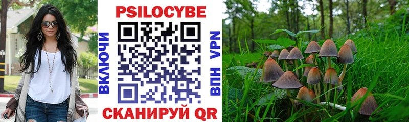 закладки Волжский Галлюциногенные грибы Cubensis